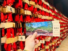 -峨眉山报国寺