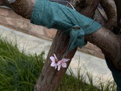 -阿姨奶茶专卖(舌涧道杭州惠民路创始店)