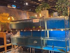 -小俩口烧烤东北菜(双井店)