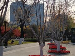-西海子公园