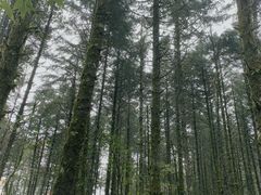 -石棉县孟获城