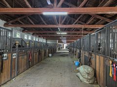 -北京群众马术培训基地