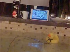 -春晖园度假酒店温泉