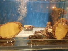 -海味当家(西安路店)