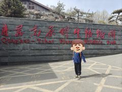 -青藏高原野生动物园