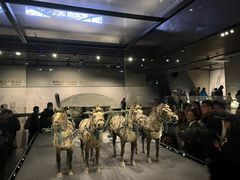 -秦始皇帝陵博物院-丽山园
