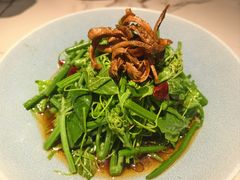-雀蓝川菜(滨湖万象汇店)