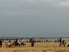 -日照海滨国家森林公园
