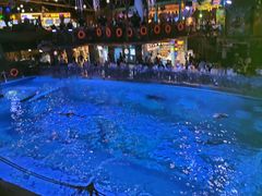 -海合安青岛极地海洋公园