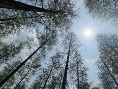 -泗洪洪泽湖湿地景区