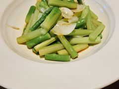 -庆春朴门