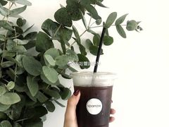 冰美式-麻雀咖啡SPARROW COFFEE(十全街店)