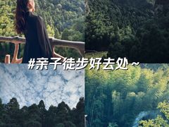 -黄檀硐景区