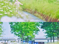 -龙美术馆西岸馆-停车场