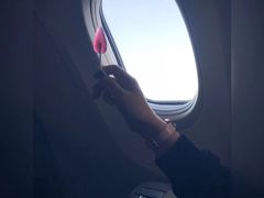 -西安赛瑞喜来登大酒店