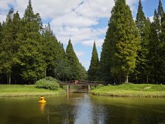 -黄海国家森林公园