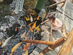 -上海大自然野生昆虫馆(东方明珠·爬宠昆虫探索中心)