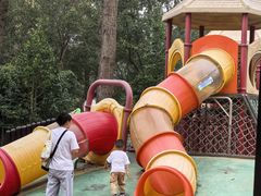 -合肥滨湖国家森林公园