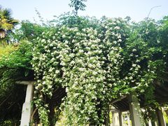 -河南省黄河迎宾馆