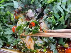 -望江饭店(13年精品店)