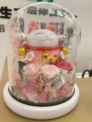 -Dr.林醫生产后修复·超级店(南京江宁同曦店)