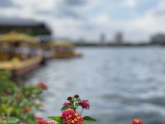 -莫愁湖公园