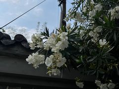 -燊海井