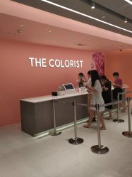 -THE COLORIST调色师