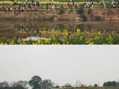 -三圣花乡旅游区