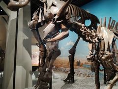 -国家自然博物馆