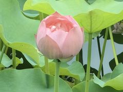 -沐仙湖湿地公园
