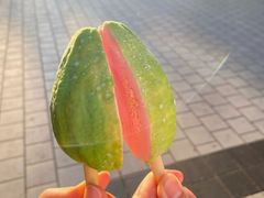 -广州热雪奇迹
