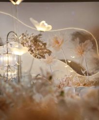 -明典婚礼策划·婚车租赁·婚纱摄影