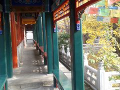 -紫竹院公园冰场