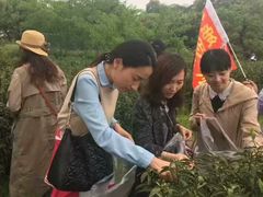 -梅园婚恋·婚姻介绍