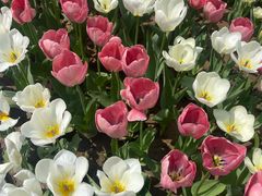 -壹条龙饭庄台基厂店