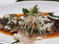 -骏莱海鲜鱼港(五角场店)