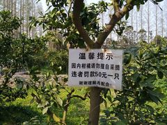 -前小桔亲子创意农场·草莓采摘·露营烧烤