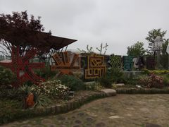 -上海长兴岛郊野公园