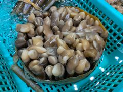 -海大大蒸汽海鲜餐厅·粤菜·特色小炒(欢乐颂店)