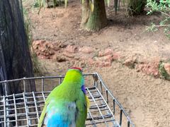 -费瑟代尔野生动物园