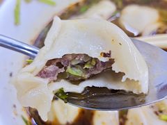 酸汤牛肉水饺-回坊马二饺子馆