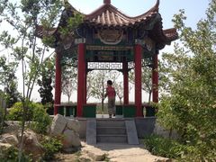 -大港湿地公园
