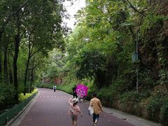 -金鸡山公园
