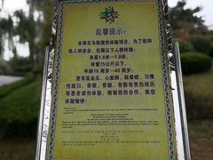 -太阳部落