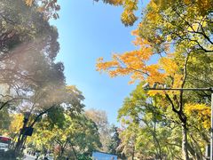 -杭州西子湖四季酒店-WL BISTRO西湖餐厅(灵隐路店)