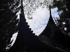 -秋霞圃