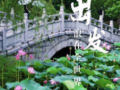 -莫愁湖公园