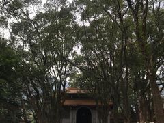 -福清灵石山国家森林公园