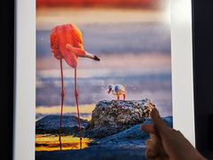 -罗红摄影艺术馆